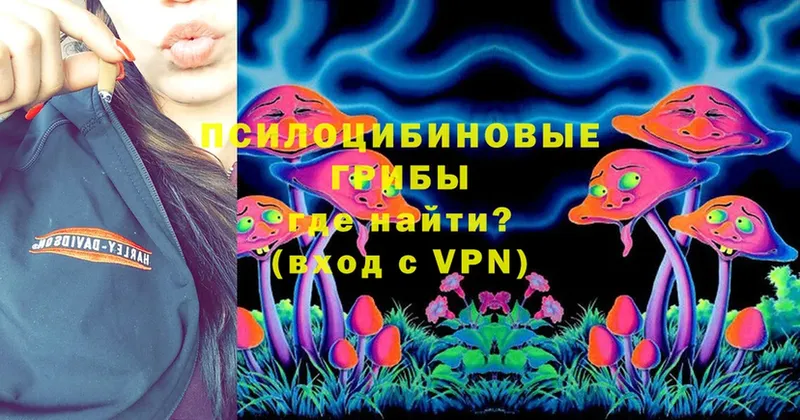 Галлюциногенные грибы MAGIC MUSHROOMS  Гуково 